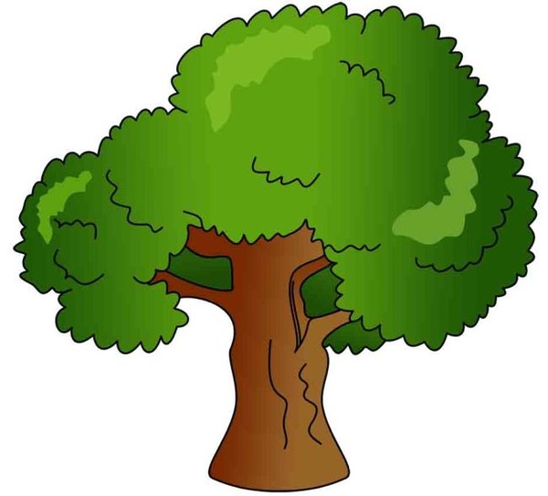 600x543 Arbre,tubes,png Clip Art Out Side Clip Art, Tree