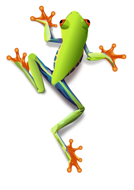 444x628 Tree Frog Clip Art Clip Art