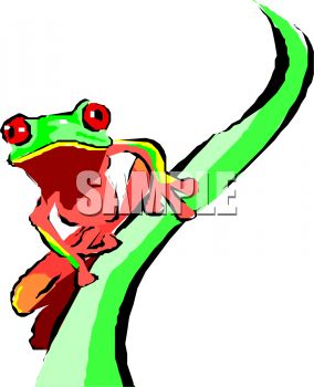 284x350 Tree Frog Clip Art Black And White Clipart Panda