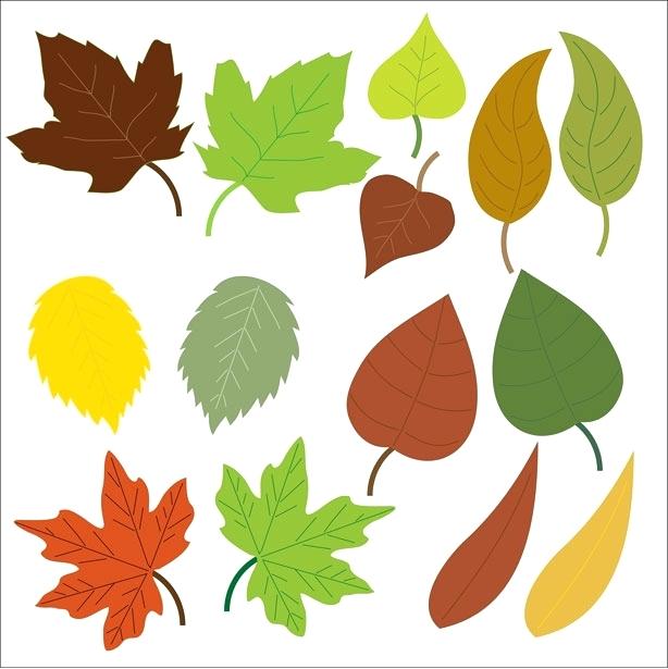 614x615 Fall Foliage Clip Art Fall Leaves Clip Art Black And White 5