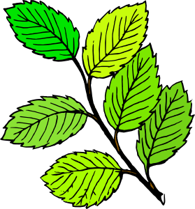 279x300 Summer Leaves Clip Art