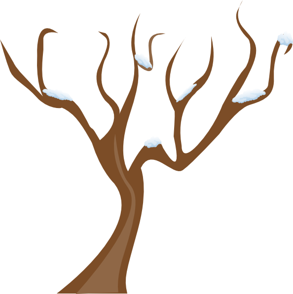 594x596 Tree Without Leaves Clip Art