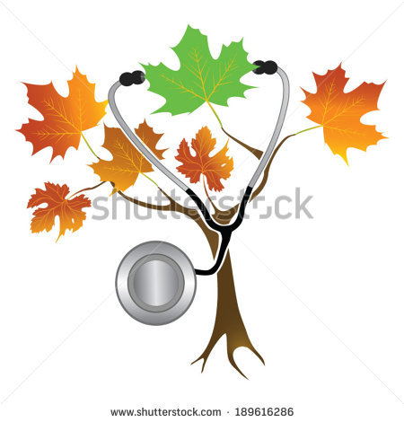 450x470 Clipart Changing Leaves Tree Amp Clip Art Changing Leaves Tree