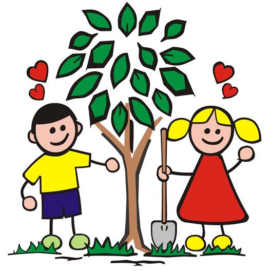 528x528 Plant Tree Clipart, Explore Pictures