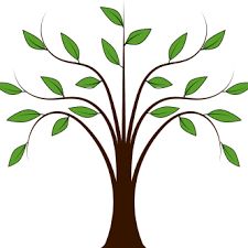 225x225 Tree Of Life Clipart Sweeping Oak Tree Design