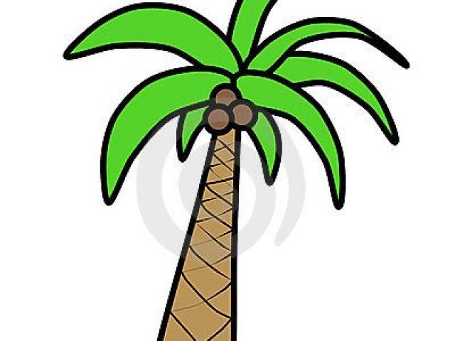 640x480 Palm Tree Silhouette Png Free Download Clip Art
