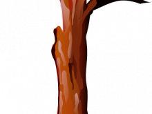 220x165 Tree Trunk Clipart Tree Trunk Clip Art