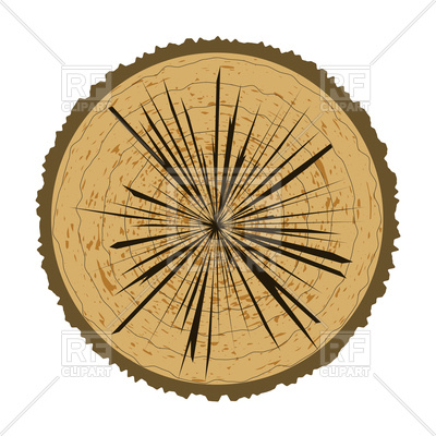 400x400 Tree Rings And Saw Cut Tree Trunk Royalty Free Vector Clip Art