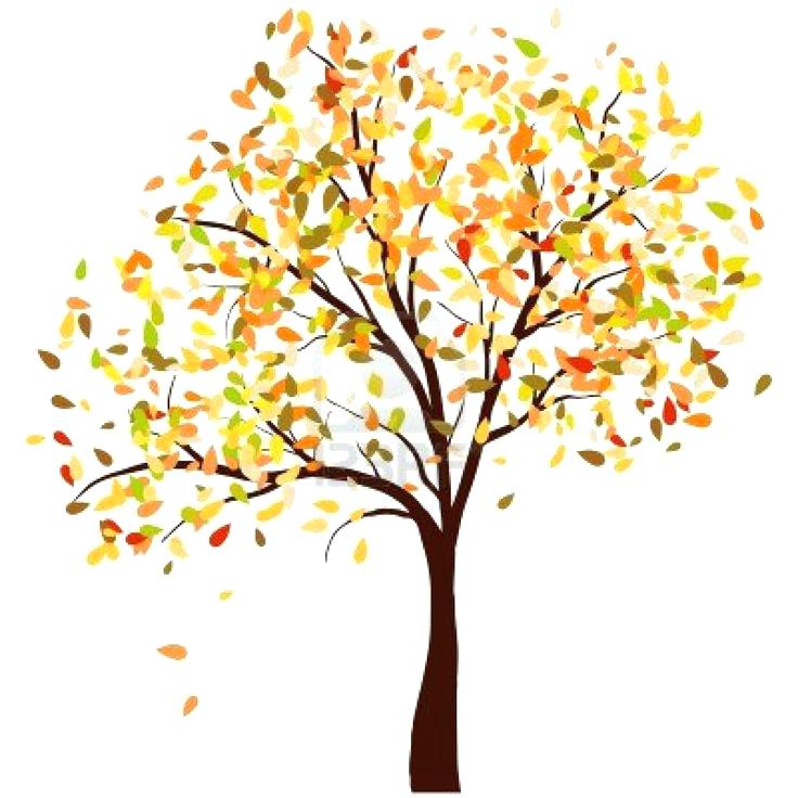 Tree Without Leaves Clipart at GetDrawings | Free download