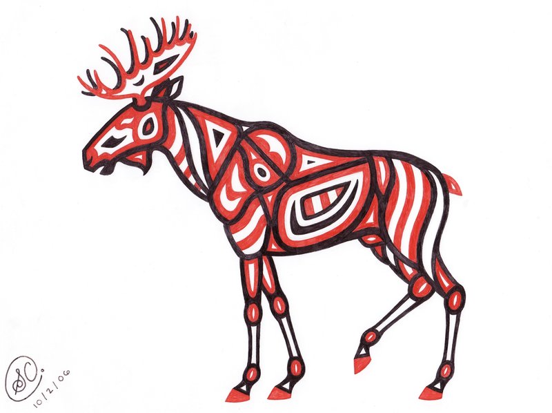 800x598 Native American Moose By Sarachristensen