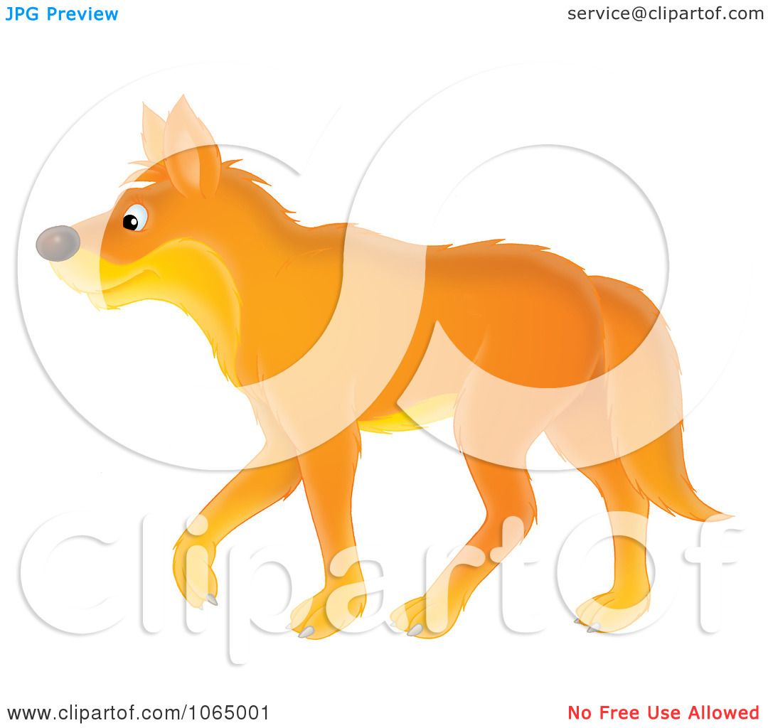 1080x1024 Wolf Clipart Orange