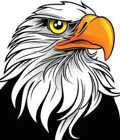 236x275 44 Images Of Eagle Mascot Clipart You Can Use These Free Cliparts