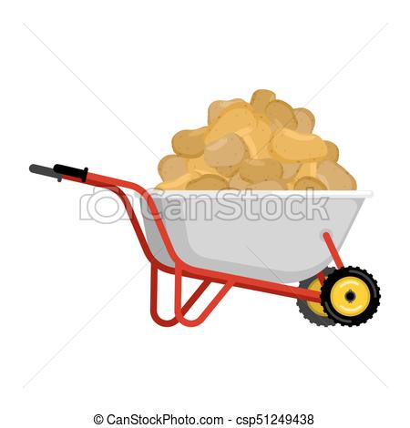 450x470 Wheelbarrow And Potato. Vegetables In Garden Trolley. Big