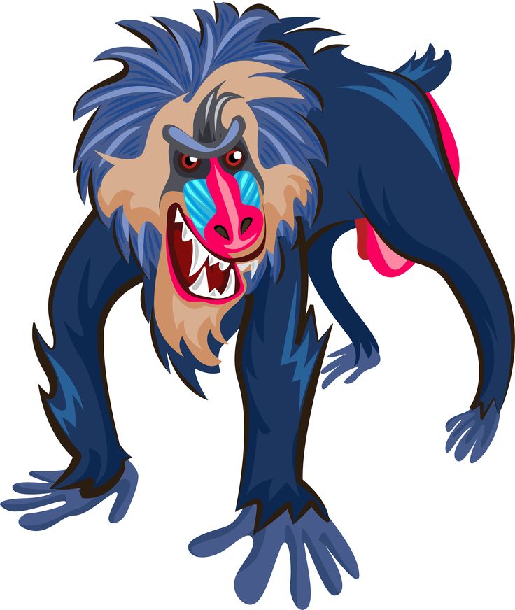 736x872 35 Best Clip Art Images On Clip Art