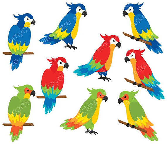 570x490 Clipart Tropical Birds Google Images Clip Art Free Of Fish
