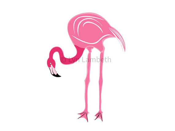 570x428 Flamingo Clipart, Instant Download, Commercial Use, Bird Clipart