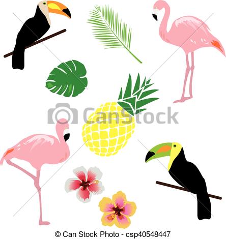 444x470 Vector Tropical Background With Birds, Flowers Eps Vector
