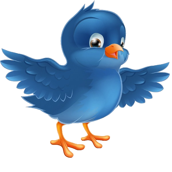 600x600 Blue Bird Clip Art Images. Art