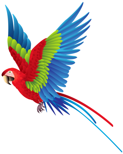 402x500 Colourful Parrot Png Clipart Best Web Clipart {Saved