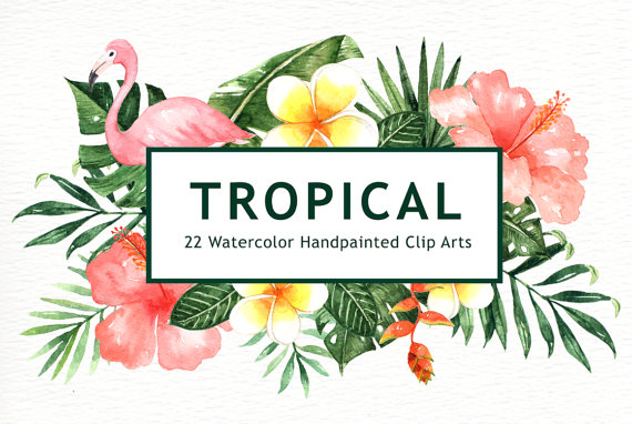 570x382 Tropical Leaves Watercolor Clipart, Watercolor Flower, Watercolor