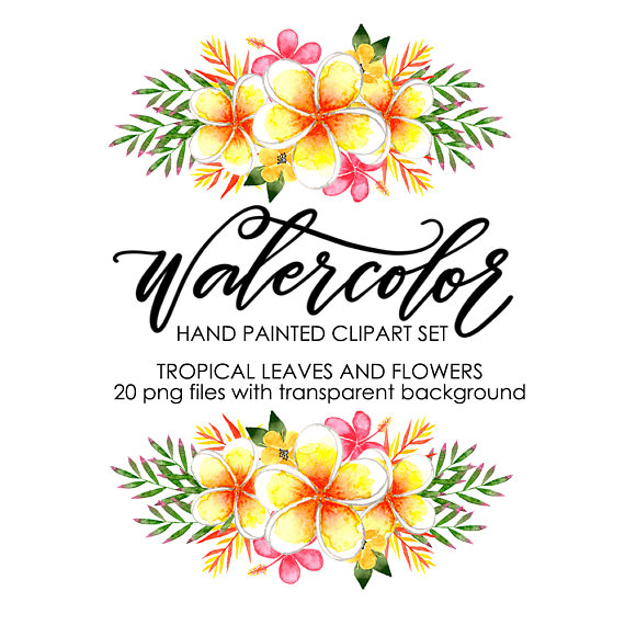 570x570 Watercolor Clipart Watercolor Floral Clipart Watercolor Flower