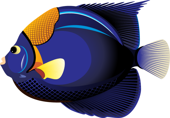 645x450 Tropical Fish Clip Art Clipart Panda