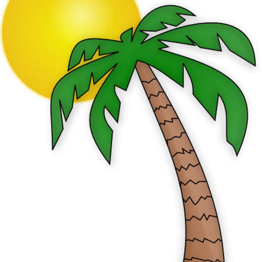 1024x1024 Palm Tree Clip Art Free Flower Clipart