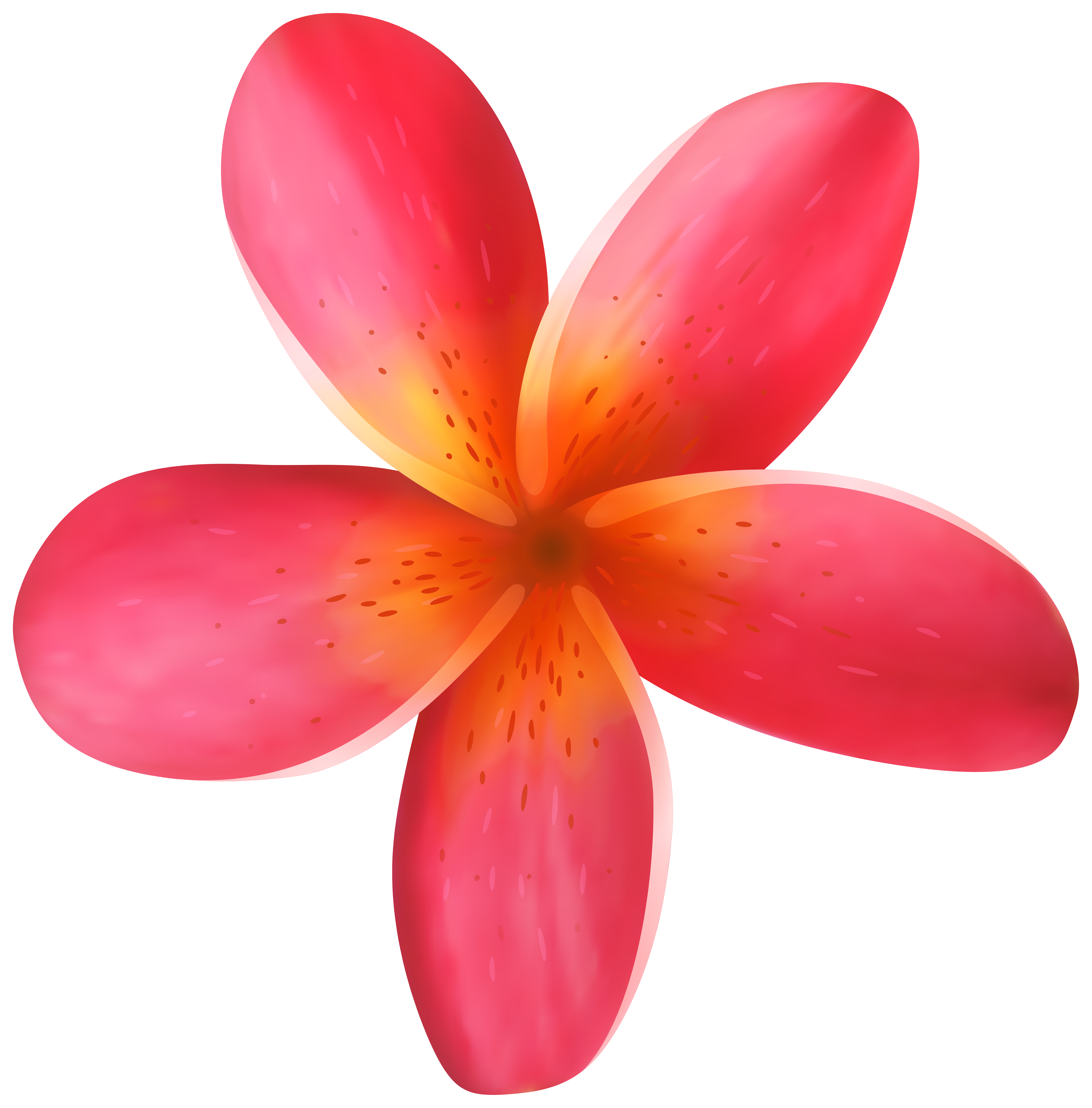 7884x8000 Tropical Flower Png Clip Art Imageu200b Gallery Yopriceville