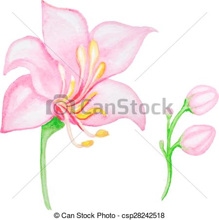 450x452 Watercolor Pink Tropical Flower, Vector Illustration Vector Clip