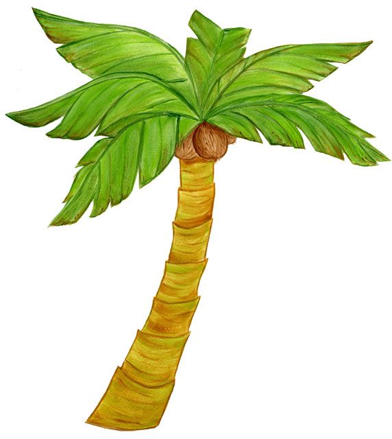 572x640 Oasis Clipart Tropical Island