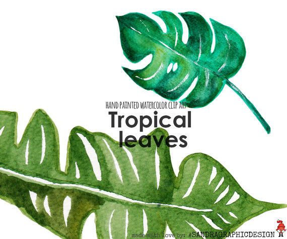 570x475 Tropical Clip Art Tropical Leaf Clip Art Hand Painted
