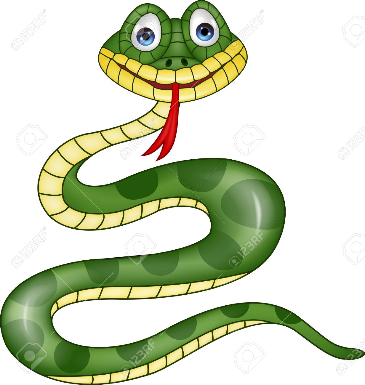 1232x1300 Exotic Clipart Rainforest Snake