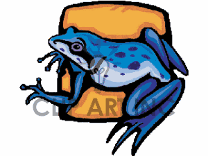 300x225 Rainforest Clip Art