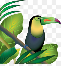 260x280 Amazon Rainforest Black And White Clipart