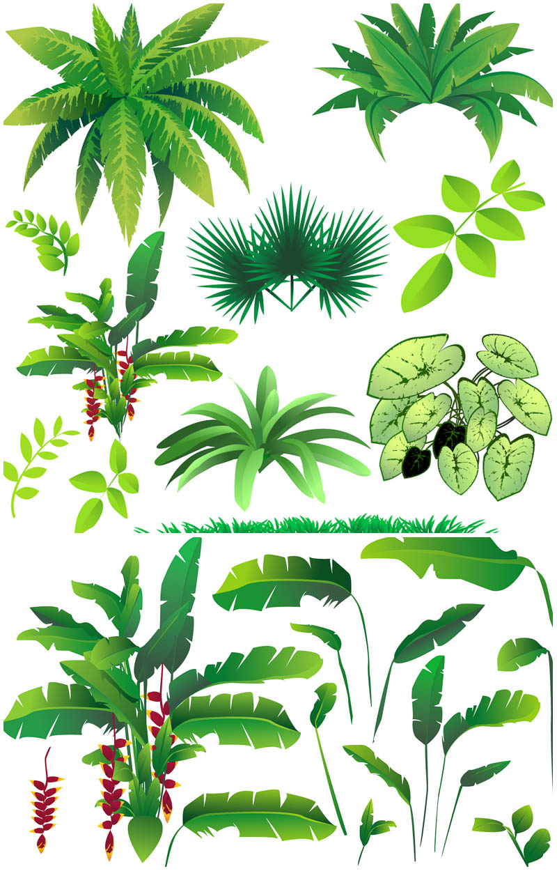 800x1250 Clip Art Jungle Images Clip Art