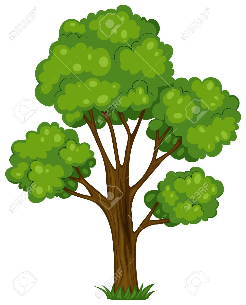 1050x1300 Tropical Rainforest Tree Clip Art