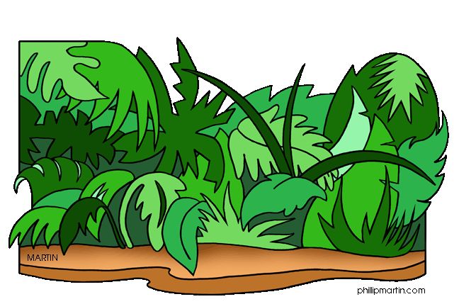 648x429 9 Best Jungle Clip Art Images On Jungle Animals