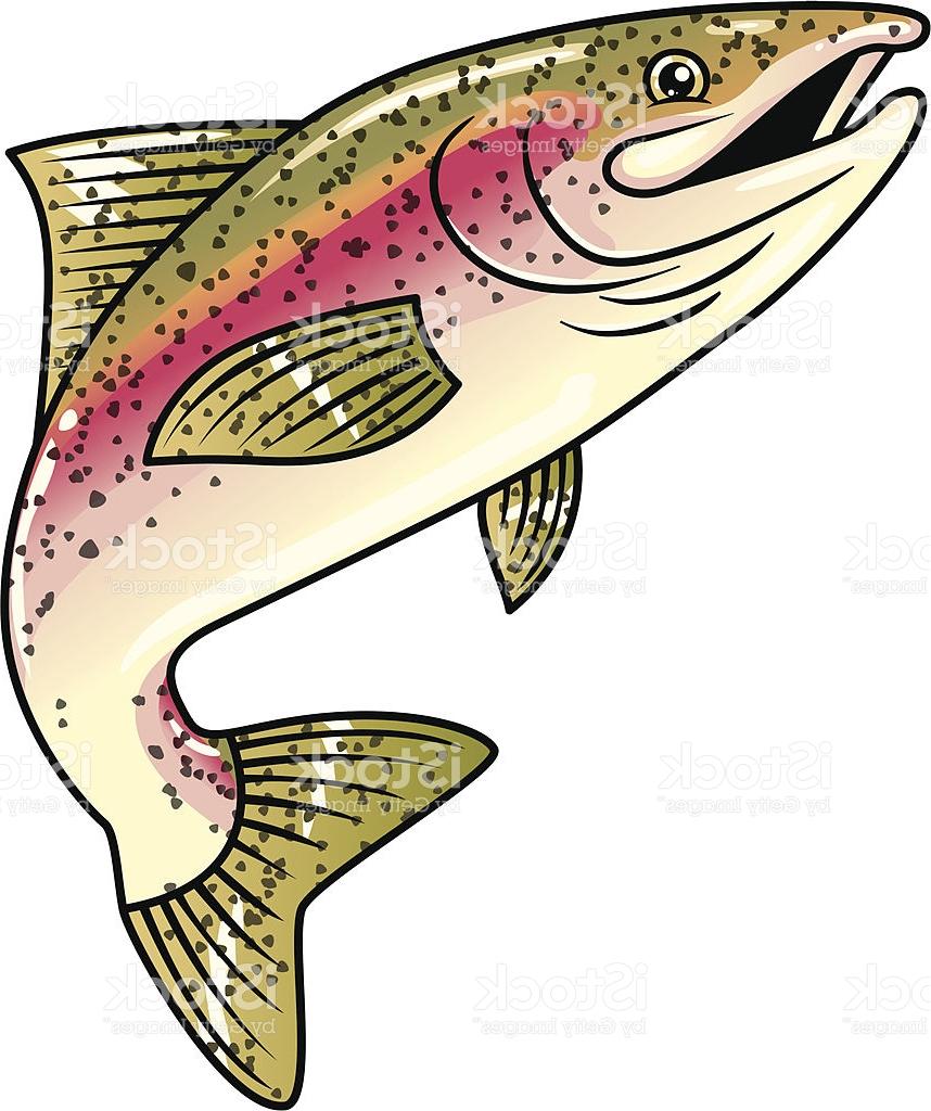 858x1024 Rainbow Trout Clipart Free Download Clip Art