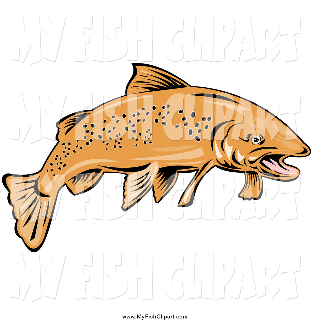 1024x1044 Clip Art Of A Speckled Trout Fish By Patrimonio