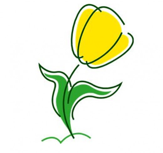 520x487 Yellow Tulip Clip Art Clipart Panda