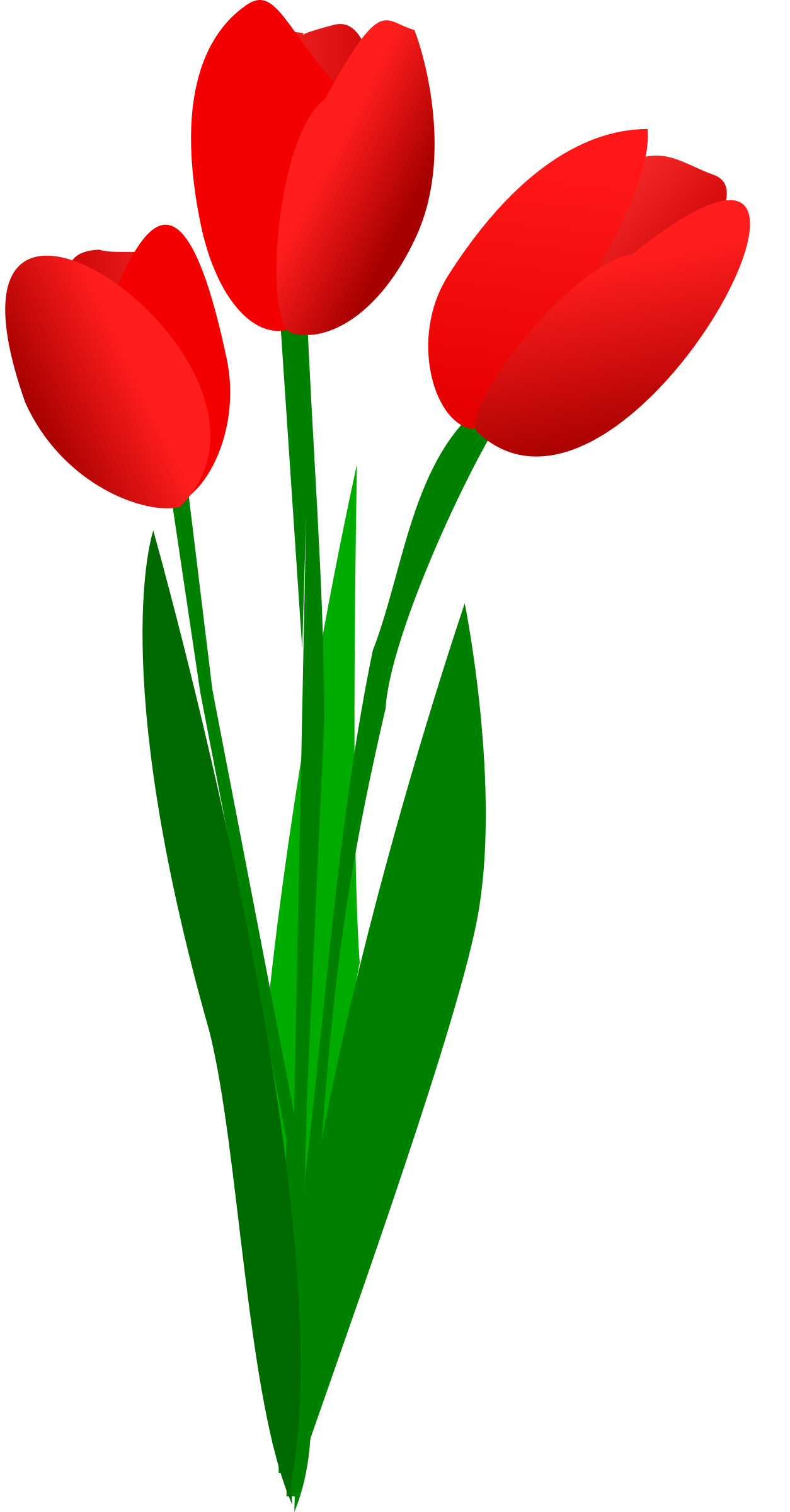Tulip Clipart at GetDrawings | Free download