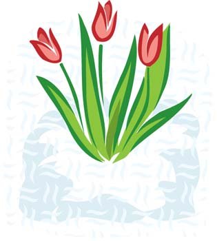 315x350 Free Tulip Flower 2 Clipart And Vector Graphics