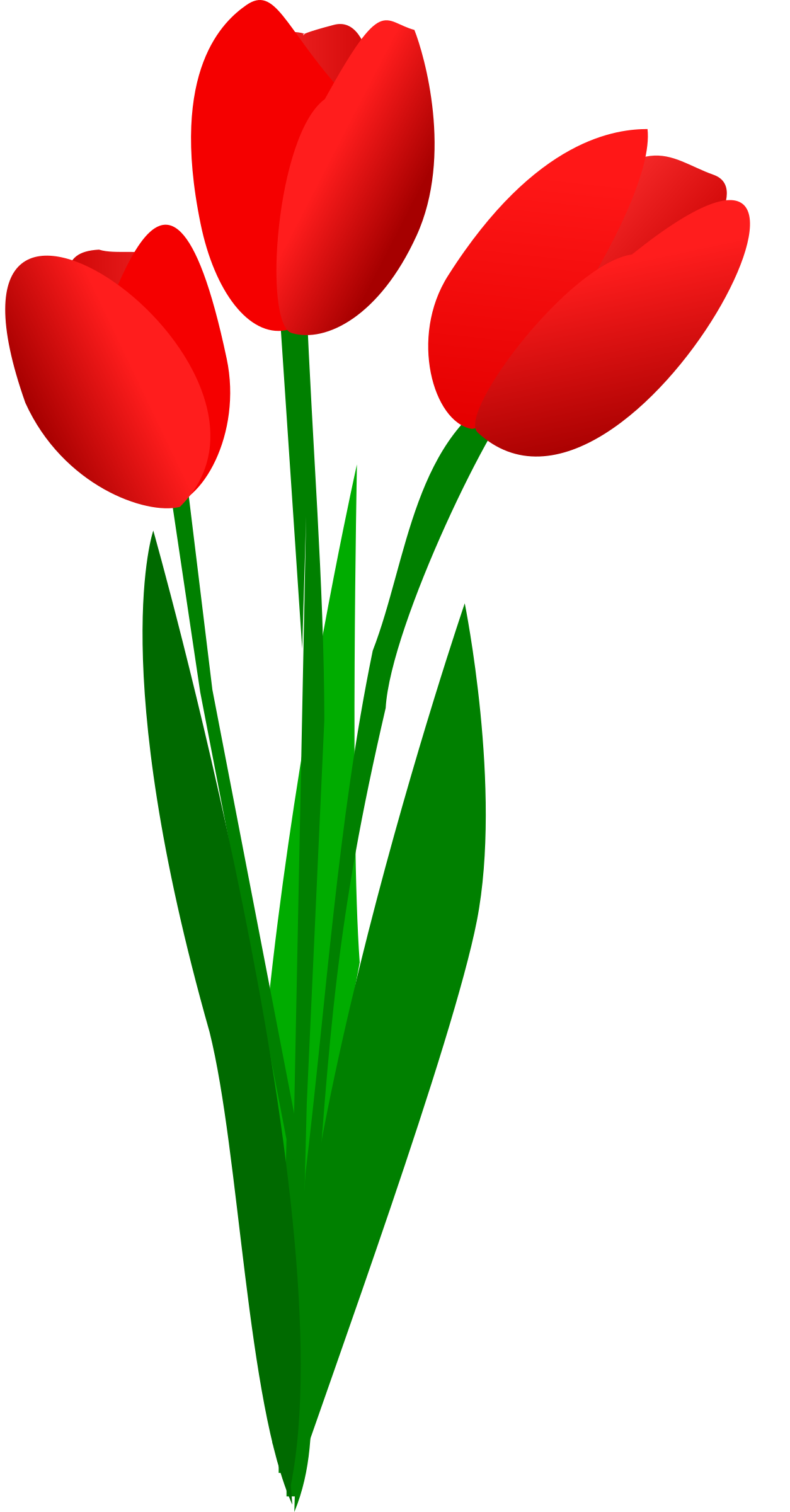 1254x2400 Tulip Flower Clipart