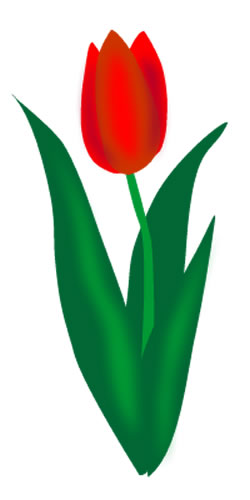 250x500 Tulips Clip Art Free Tulip Clip Art Pictures Clipartix Plant