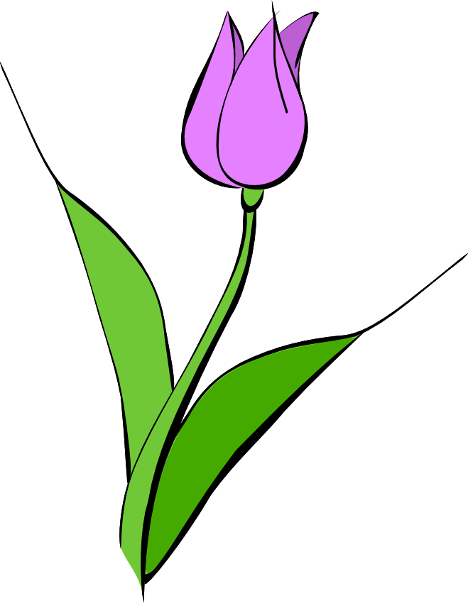 659x850 Tulips Clip Art Tulip Clipart Clipart Panda Free Clipart Images