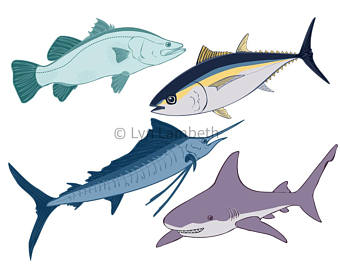 340x270 Fish Clipart Etsy