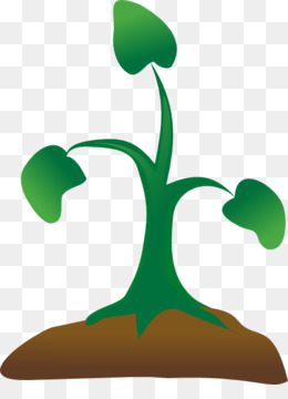 260x360 Jungle Leaf Tropical Vegetation Clip Art