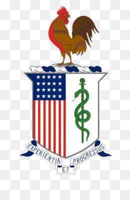 260x400 Tupac Shakur Png And Psd Free Download