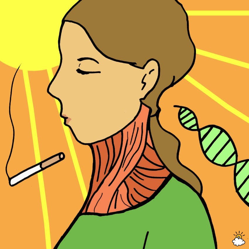 850x850 Collection Of Turkey Neck Clipart High Quality, Free