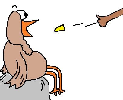 408x331 Turkey Cliparts Games